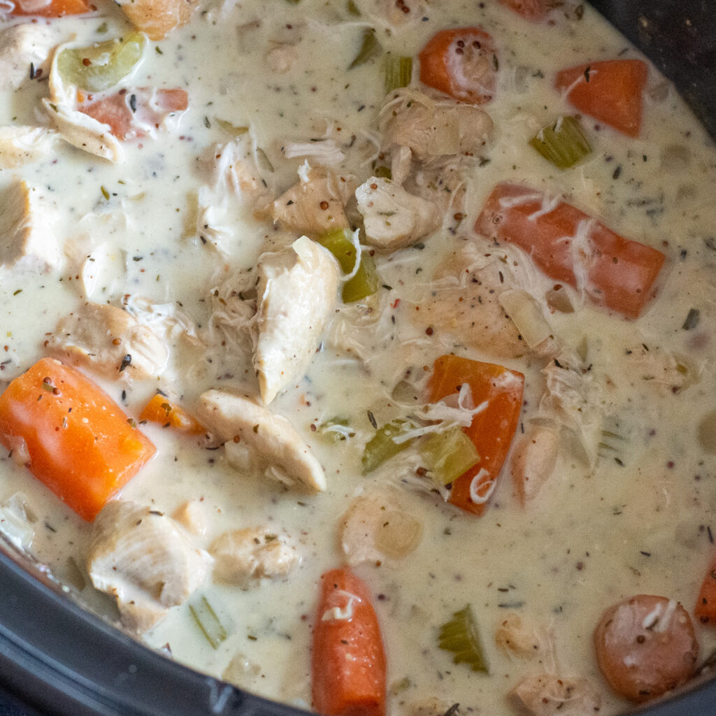 Slow cooker chicken and vegetable stew.